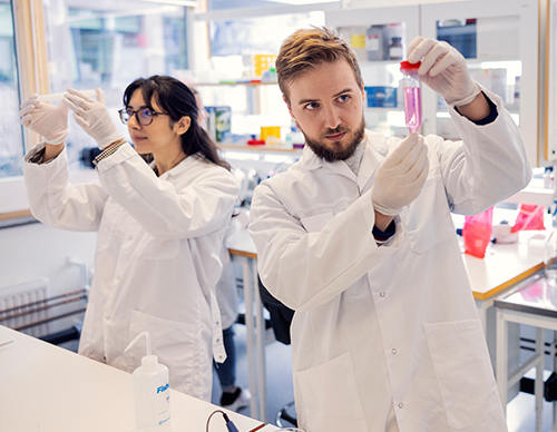 Pharmaceutical workers