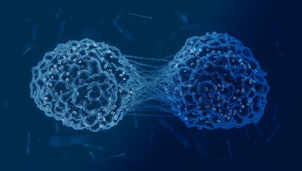 Poster Image of Cell AnimationFINAL 2Aug